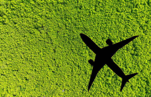 How to Reduce Your Carbon Footprint While Flying